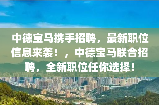 中德宝马携手招聘，最新职位信息来袭！，中德宝马联合招聘，全新职位任你选择！