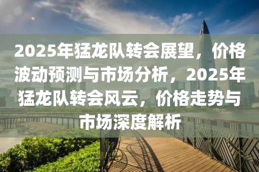 2025年猛龙队转会展望，价格波动预测与市场分析，2025年猛龙队转会风云，价格走势与市场深度解析