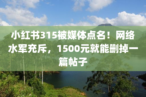 小红书315被媒体点名！网络水军充斥，1500元就能删掉一篇帖子