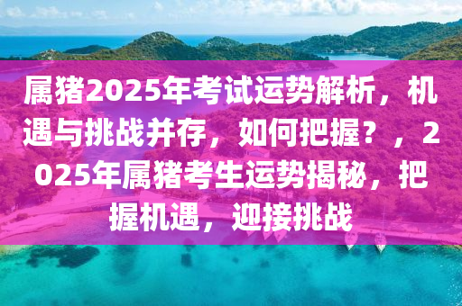 属猪2025年考试运势解析，机遇与挑战并存，如何把握？，2025年属猪考生运势揭秘，把握机遇，迎接挑战