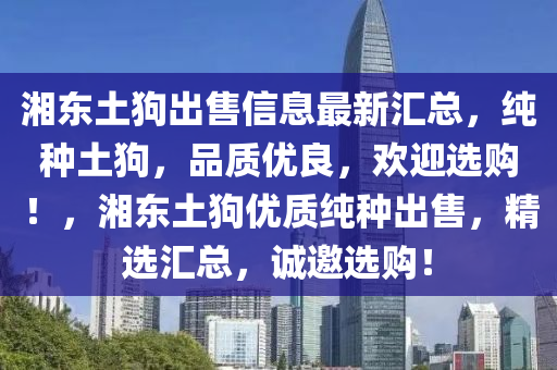 湘东土狗出售信息最新汇总，纯种土狗，品质优良，欢迎选购！，湘东土狗优质纯种出售，精选汇总，诚邀选购！