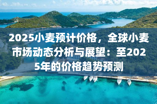 2025小麦预计价格，全球小麦市场动态分析与展望：至2025年的价格趋势预测