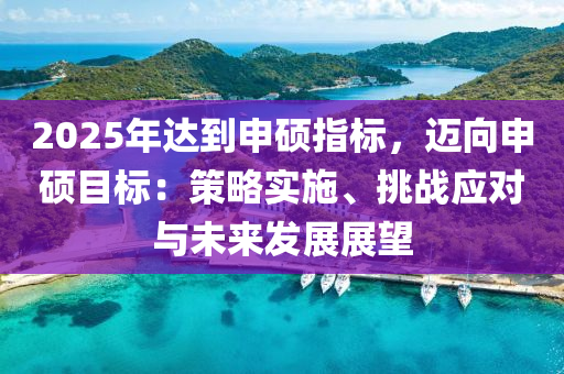 2025年达到申硕指标，迈向申硕目标：策略实施、挑战应对与未来发展展望