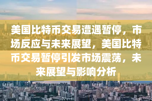 美国比特币交易遭遇暂停，市场反应与未来展望，美国比特币交易暂停引发市场震荡，未来展望与影响分析