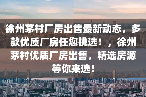 徐州茅村厂房出售最新动态，多款优质厂房任您挑选！，徐州茅村优质厂房出售，精选房源等你来选！