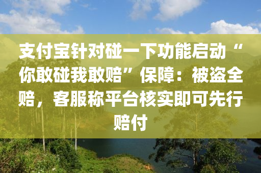 支付宝针对碰一下功能启动“你敢碰我敢赔”保障：被盗全赔，客服称平台核实即可先行赔付