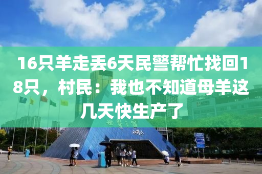 16只羊走丢6天民警帮忙找回18只，村民：我也不知道母羊这几天快生产了