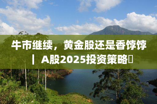 牛市继续，黄金股还是香饽饽｜ A股2025投资策略⑪