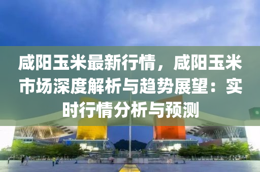 咸阳玉米最新行情，咸阳玉米市场深度解析与趋势展望：实时行情分析与预测