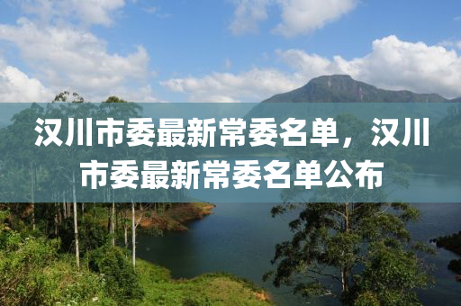 汉川市委最新常委名单，汉川市委最新常委名单公布