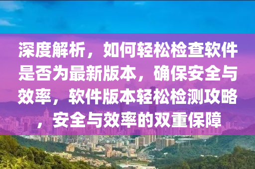 深度解析，如何轻松检查软件是否为最新版本，确保安全与效率，软件版本轻松检测攻略，安全与效率的双重保障