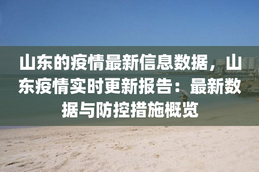 山东的疫情最新信息数据，山东疫情实时更新报告：最新数据与防控措施概览