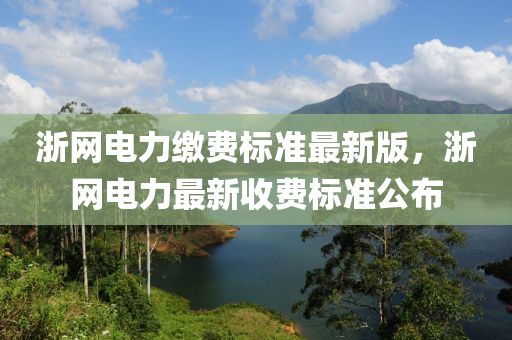 浙网电力缴费标准最新版，浙网电力最新收费标准公布