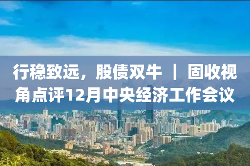 行稳致远，股债双牛 ｜ 固收视角点评12月中央经济工作会议