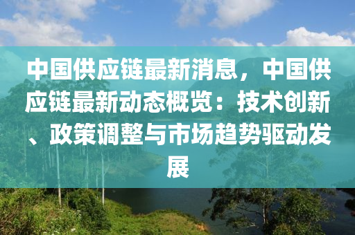 中国供应链最新消息，中国供应链最新动态概览：技术创新、政策调整与市场趋势驱动发展