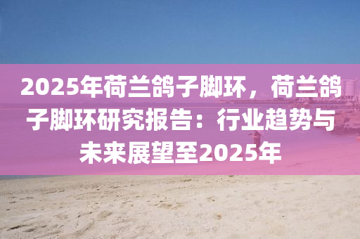 2025年荷兰鸽子脚环，荷兰鸽子脚环研究报告：行业趋势与未来展望至2025年