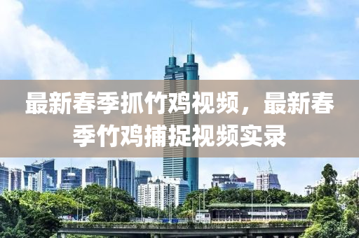 最新春季抓竹鸡视频，最新春季竹鸡捕捉视频实录