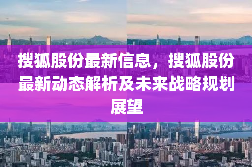 搜狐股份最新信息，搜狐股份最新动态解析及未来战略规划展望